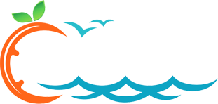 loader image